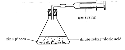 Enzyme Action: Reaction Rates