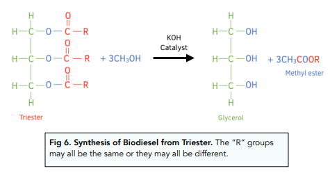 Properties and Reactivity of Esters
