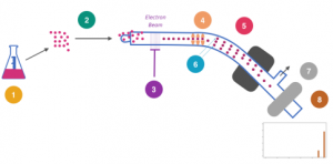 Atomic Structure - Mass Spectrometry