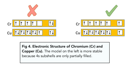 The Transition Metals