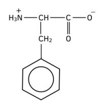 The Structure of Amino Acids