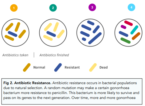 Drug Resistance, Antivirals and Antiseptics