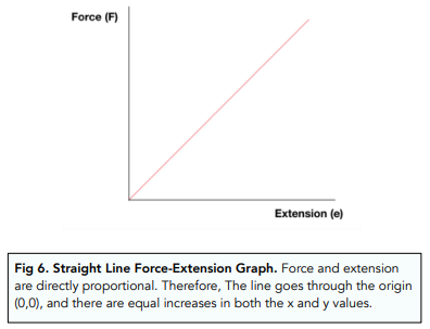 Forces and Elasticity