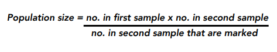 Organisation & Trophic Levels - Quadrat and Transect Sampling (GCSE ...