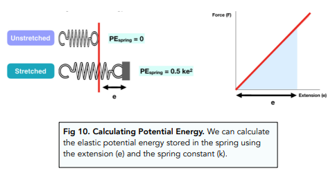 How do springs work?  How do springs store energy?