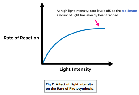 Limiting factors Affecting the Rate of Photosynthesis
