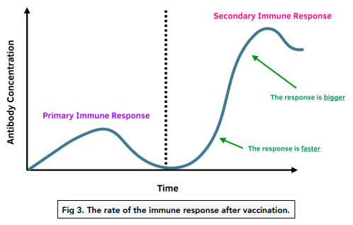immune response graph