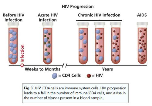 Viral Diseases: HIV