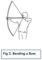 Forces and Elasticity (GCSE Physics) - Study Mind