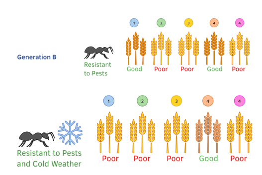 variation-selective-breeding-gcse-biology-study-mind