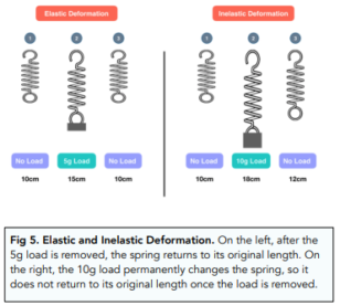 Forces And Elasticity (GCSE Physics) - Study Mind