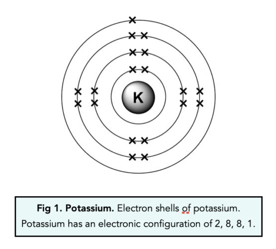 Electronic Configuration (GCSE Chemistry) - Study Mind