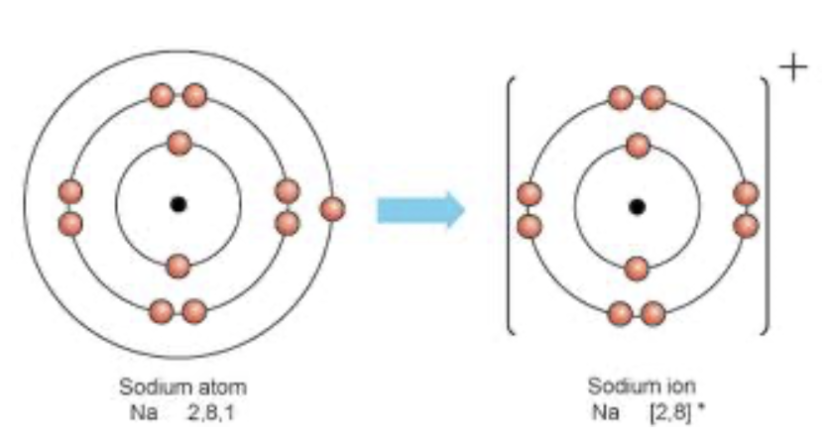 Metals & Non-Metals (GCSE Chemistry) - Study Mind