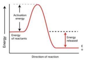 GCSE Chemistry - Reaction Profiles & Activation Energy