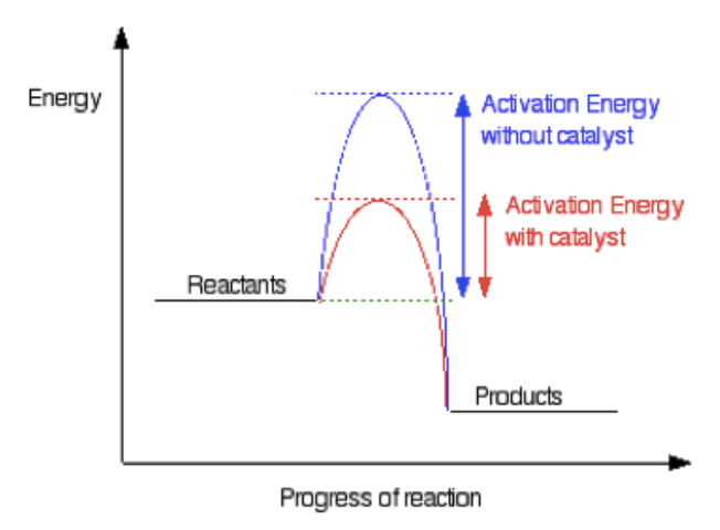 Reaction Profiles & Activation Energy (GCSE Chemistry) - Study Mind