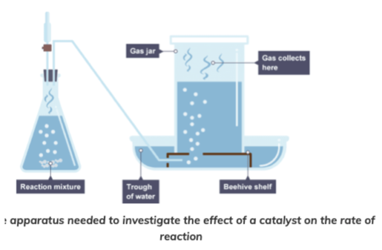 Catalysts (GCSE Chemistry) Study Mind