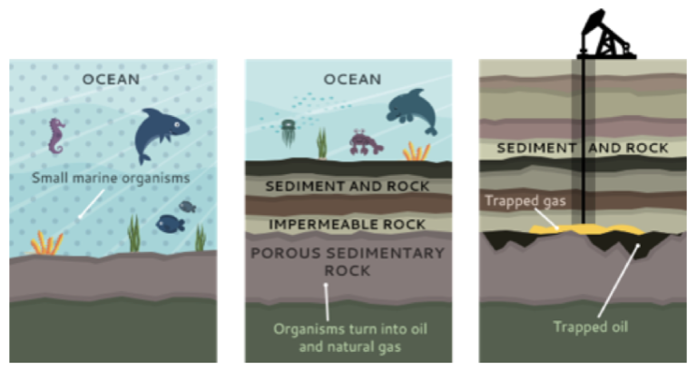 formation-contents-of-crude-oil-gcse-chemistry-study-mind