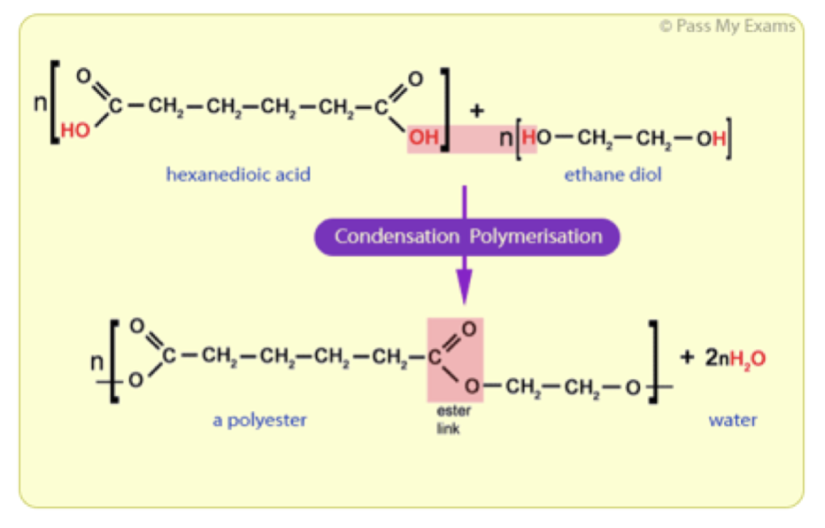 Condensation Polymerisation (GCSE Chemistry) - Study Mind