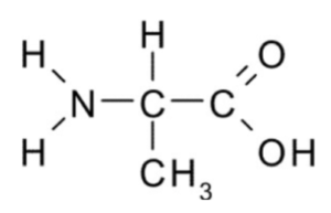 GCSE Chemistry - Amino Acids