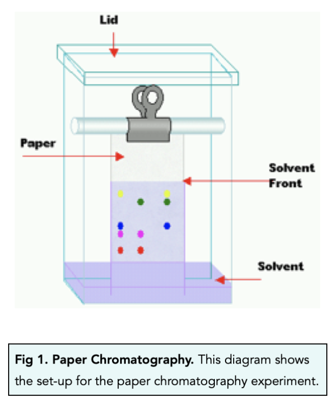 Chromatography and Rf Values (GCSE Chemistry) Study Mind