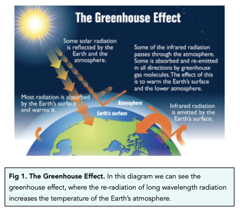 Which Statement Is True Of Greenhouse Gases Greenhouse Gases (GCSE Chemistry) - Study Mind