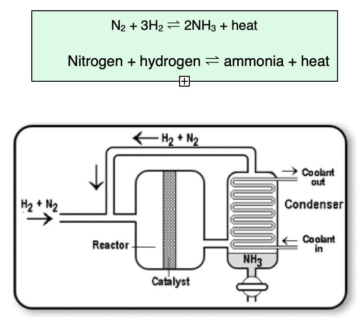 the haber process amonia