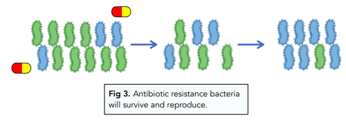 Evidence for Evolution: Resistant Bacteria
