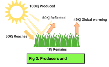 Transfer of Biomass