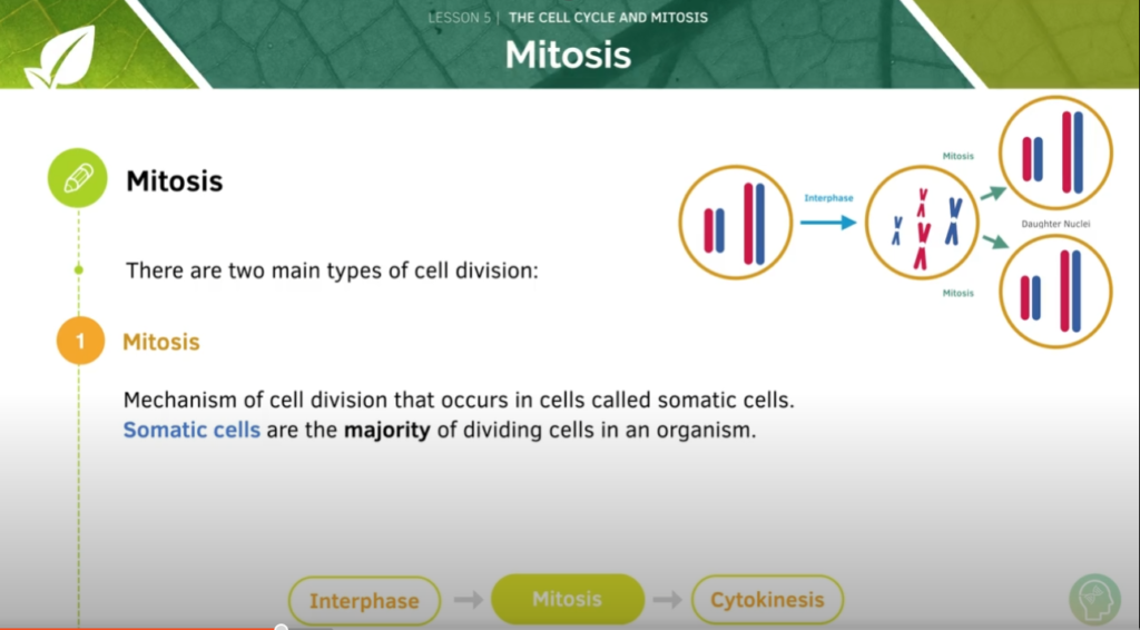 GCSE Biology Tutorial
