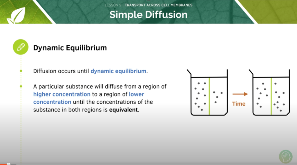 GCSE Biology Tutorial
