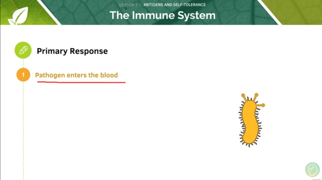 GCSE Biology Tutorial
