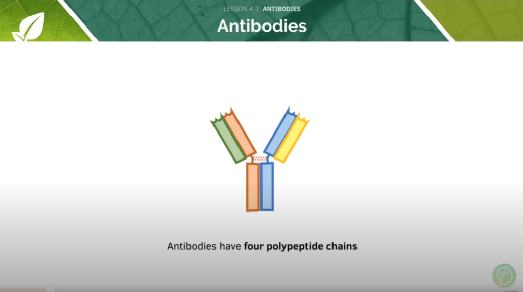 GCSE Biology Tutorial