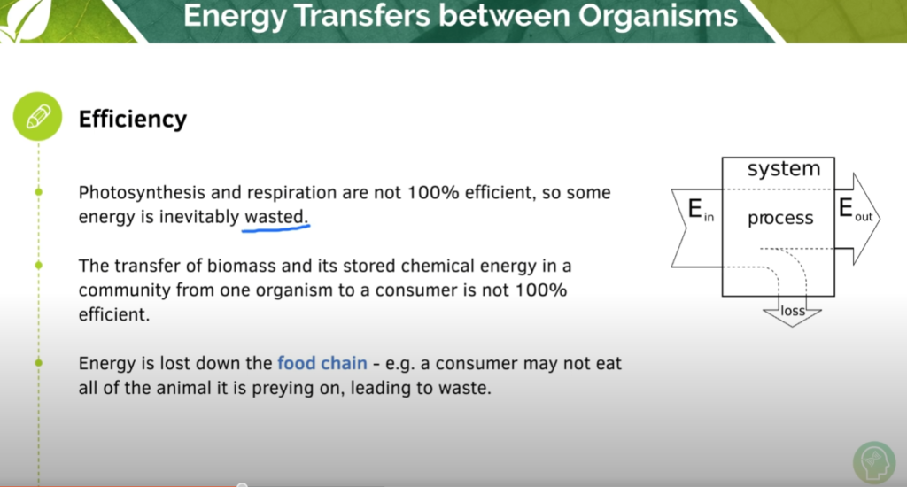 GCSE Biology Tutorial