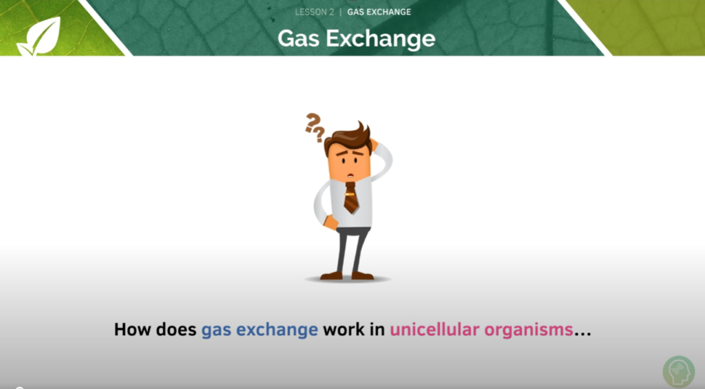 GCSE Biology Tutorial