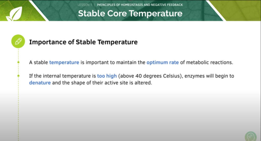 GCSE Biology Tutorial
