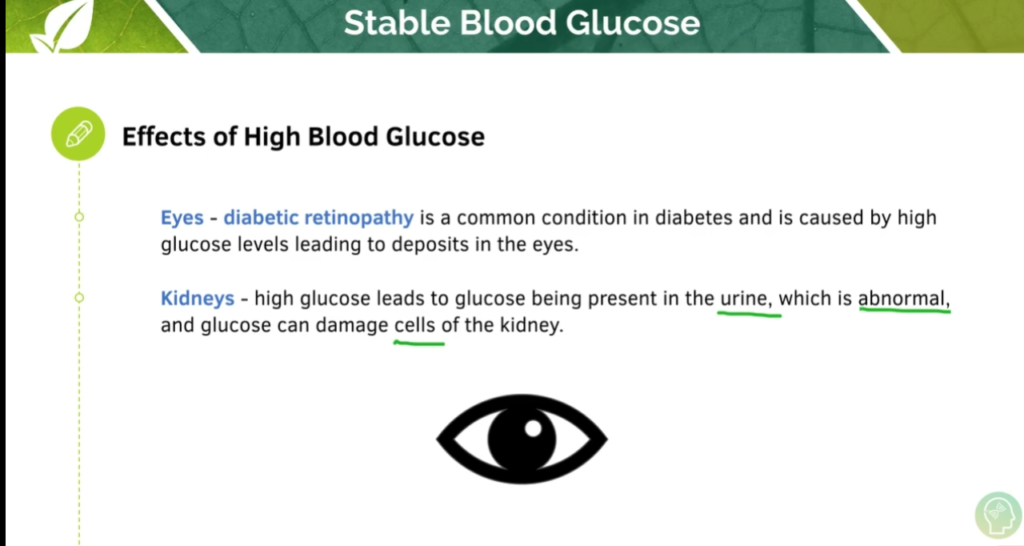 GCSE Biology Tutorial