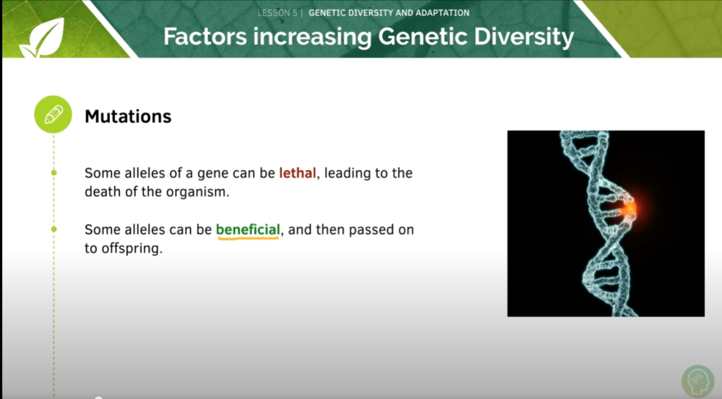 GCSE Biology Tutorial