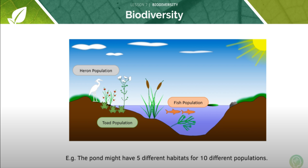 GCSE Biology Tutorial
