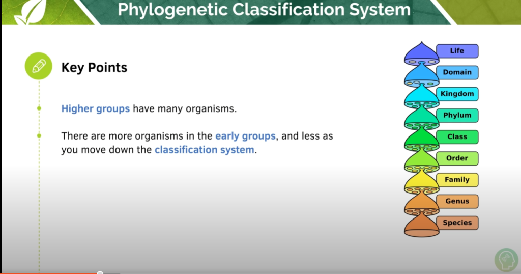 GCSE Biology Tutorial
