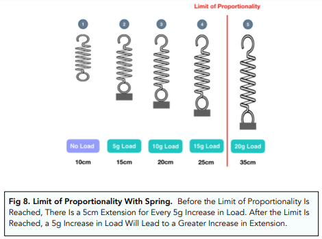 Forces and Elasticity