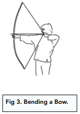 Forces and Elasticity