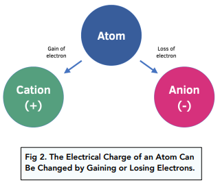 Mass Number, Atomic Number and Isotopes