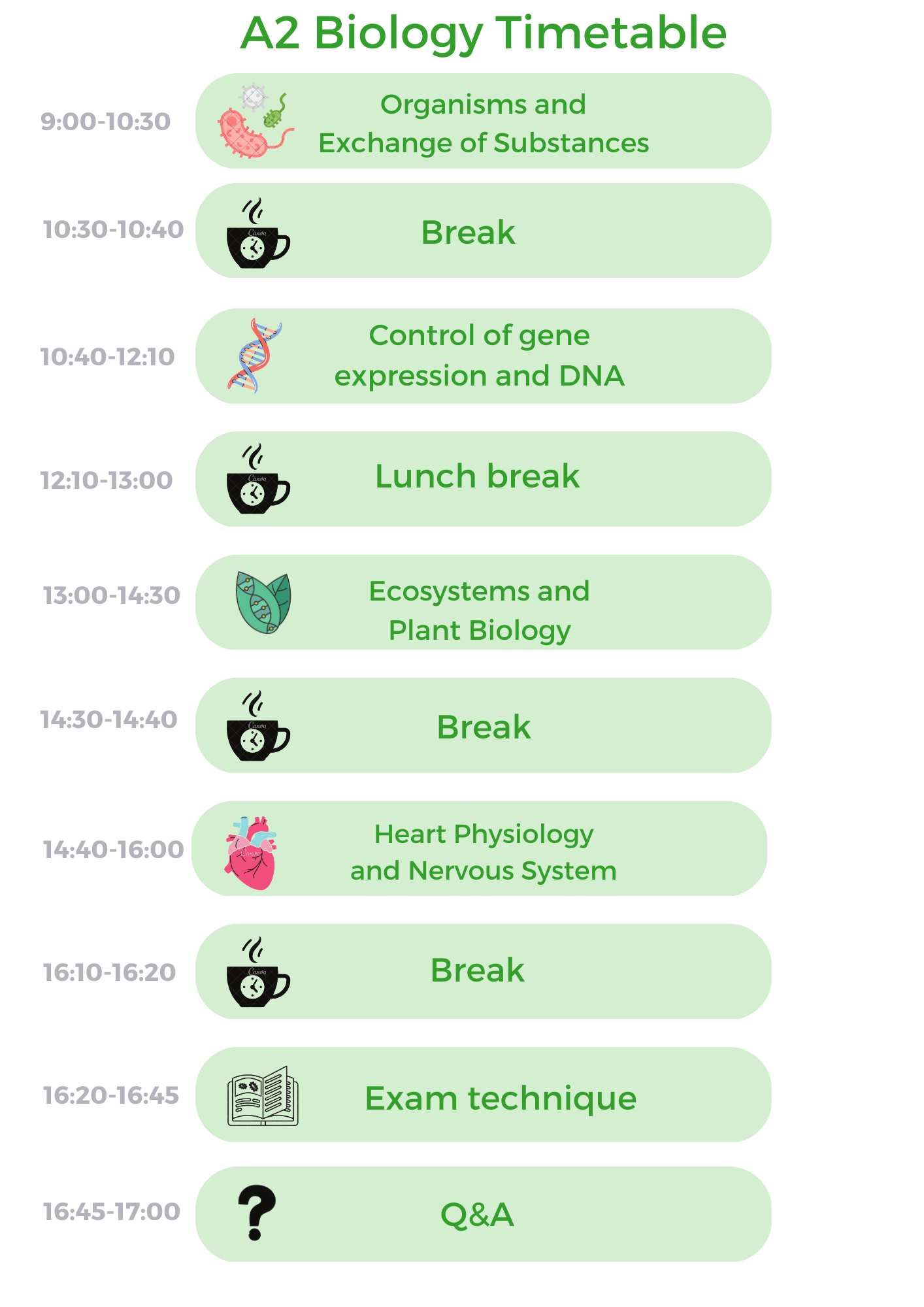 Live Workshop