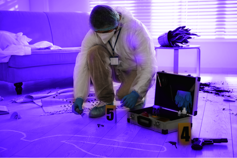 criminology work experience